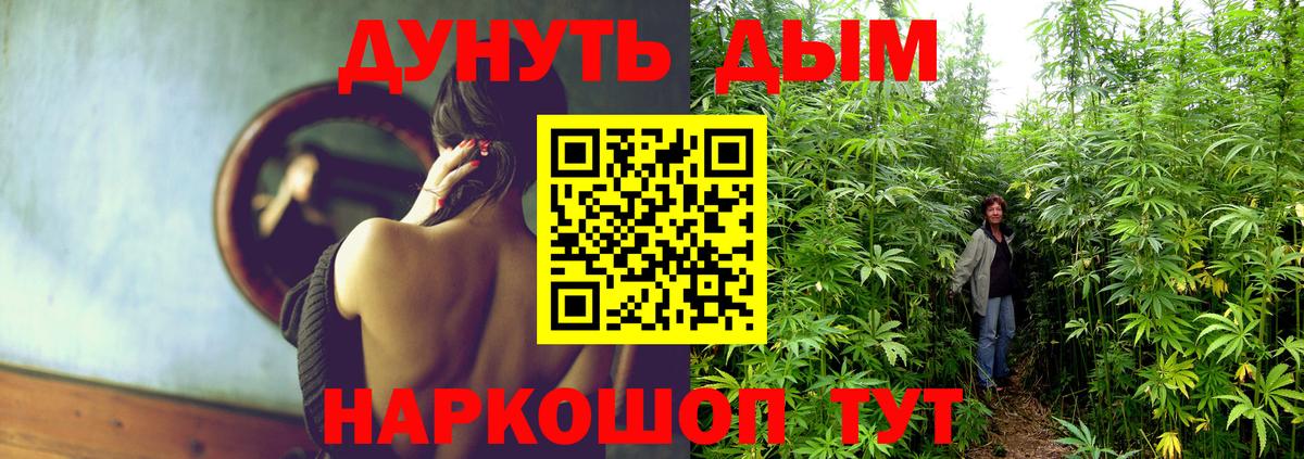 МАРИХУАНА ГИДРОПОН Чернушка