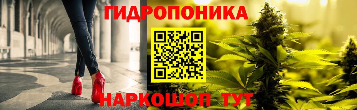Бошки марихуана Bruce Banner  Каннабис марихуана  Конопля гибрид  Вход с VPN  Чернушка 